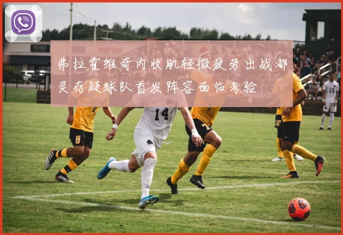 弗拉霍维奇内收肌轻微疲劳出战都灵存疑球队首发阵容面临考验